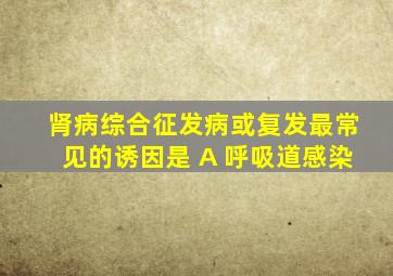 肾病综合征发病或复发最常见的诱因是 A 呼吸道感染